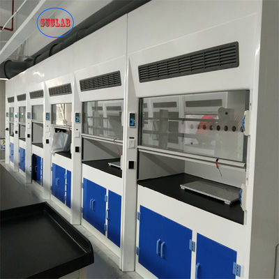 Good price High Efficiency Laboratory Fume Cupboard 220V 380V Automatic OEM online