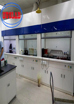 Good price Automatic Ducted Fume Hood For Ensuring Laboratory Safety And Comfort online