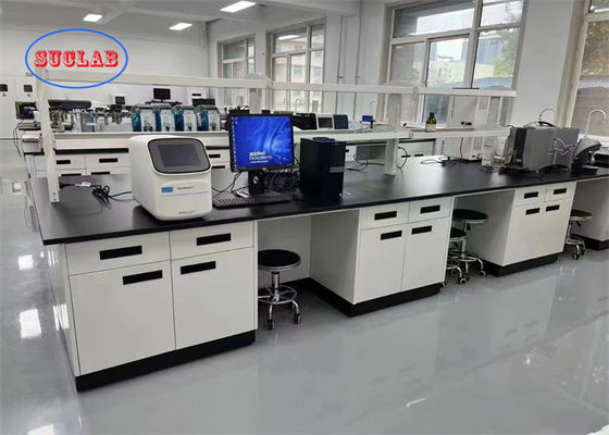 Good price Multi Functional  Lab Bench Malaysia With Splash Proof Socket And PP/Ceramic/Epoxy Resin Sink online