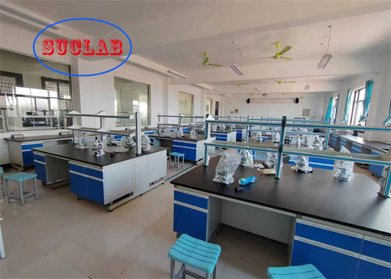 Good price Customizable Chemical Resistant Chemistry Laboratory Workbench Maximum Safety online