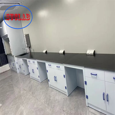 Good price Modern Customizable Chemistry Lab Furniture  Price Hong Kong with Integrated Structure and Surface Treatment online