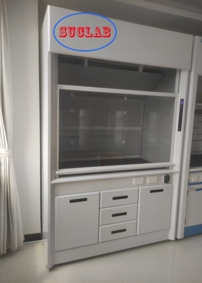 Good price Full Steel Automatic Lifting Doors  Laboratory Fume Hood Solutions  for Low-Noise Work Environment Noise Level≤60dB Airflow 100m3/h online