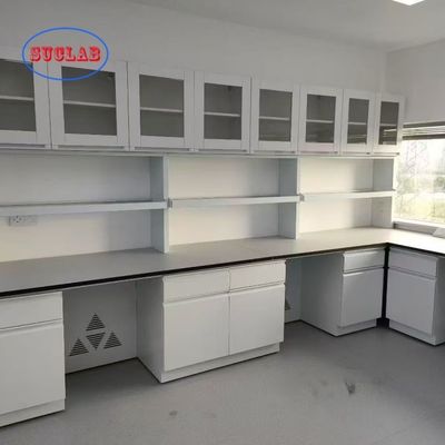 Good price Customizable Made Chem Laboratory Fumiture Lab Personalized for Your Lab Performance online