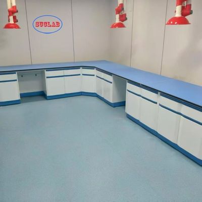 Good price OEM Acceptable Lab Furniture with Drawers Customizable and Made of Steel online