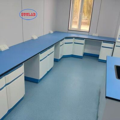 Good price Multi-Functional Laboratory Benches with Drawers Server Type OEM ODM for Industrial Lab online